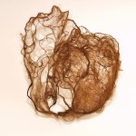 Nest - hoofdobject – mensenhaar, paardenhaar, ijzerdraad